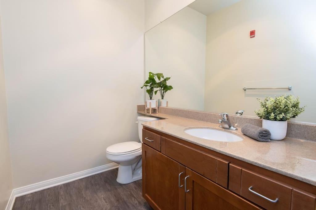 Appartement Cozy 2bed Next To Convention Center/la Live *